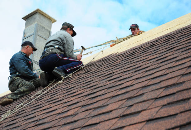 Best Shingle Roofing Installation  in Williamstown, PA